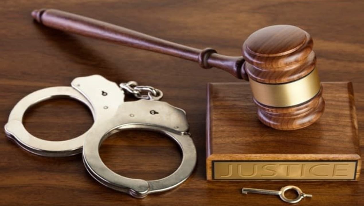 أنواع القضايا الجنائية