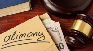 قضايا النفقة