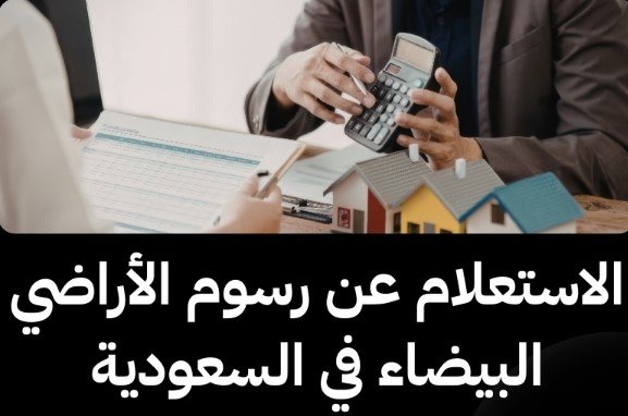 كم رسوم الاراضي البيضاء