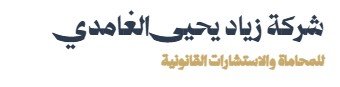 محامي عام